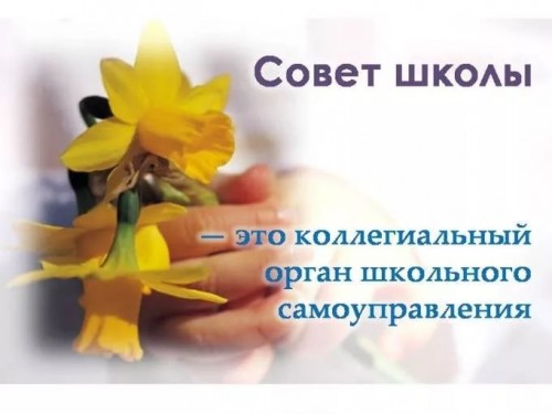 Состав Совета школы на 2017-2018 учебный год