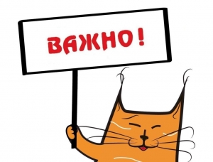 График выдачи продуктовых наборов